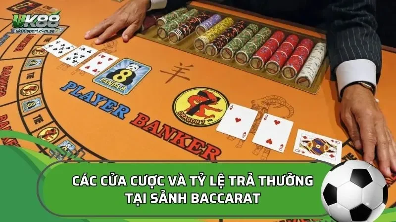 Các cửa cược và tỷ lệ trả thưởng tại sảnh baccarat