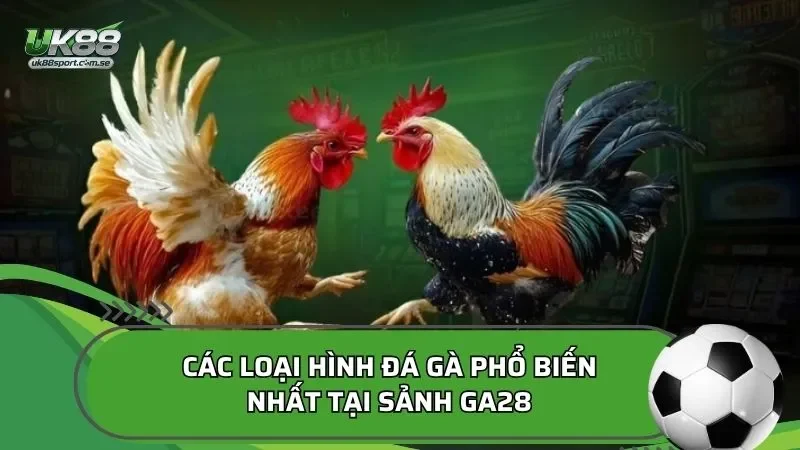 Các loại hình đá gà phổ biến nhất tại sảnh GA28