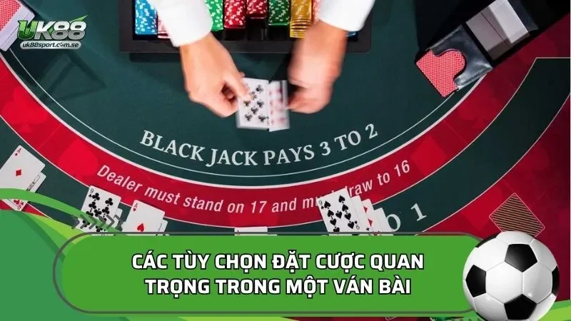 Các tùy chọn đặt cược quan trọng trong một ván bài