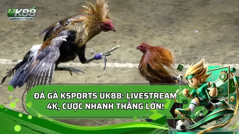 Đá Gà KSPORTS: Cách Xem Kèo, Đọc Odds Và Quản Lý Vốn Hiệu Qủa