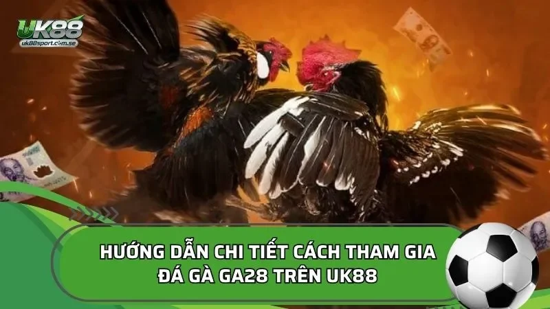 Hướng dẫn chi tiết cách tham gia đá gà GA28 trên UK88